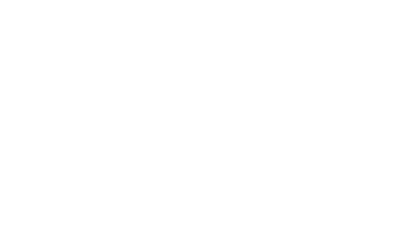 Elisa Esports